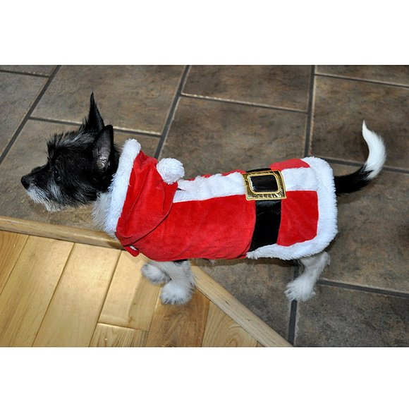 Dog Santa Claus Christmas Pet Costume (Size S) - Picture 2 of 8